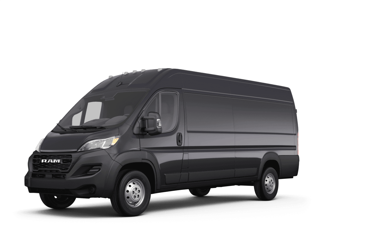 Ram false - Front view Ram false - Front view